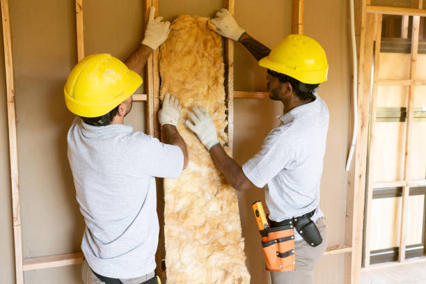 Insulation Repair Services in Midway South, TX